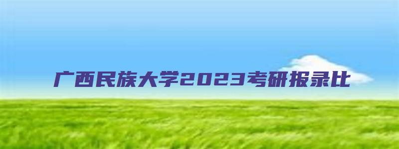 广西民族大学2023考研报录比