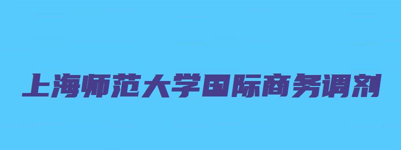 上海师范大学国际商务调剂