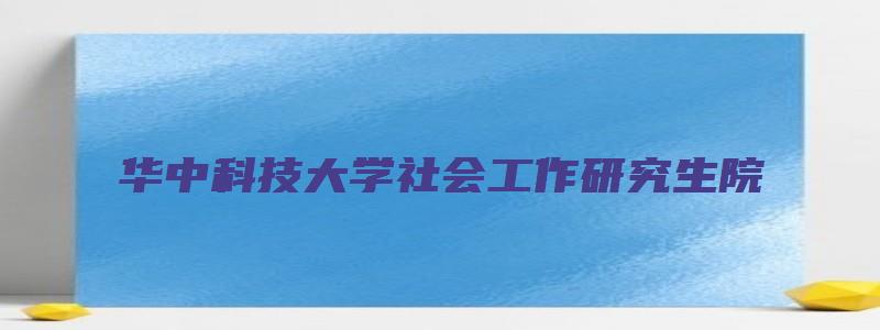 华中科技大学社会工作研究生院