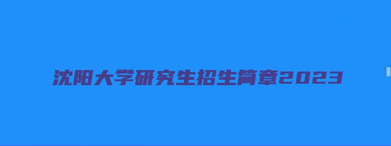 沈阳大学研究生招生简章2023