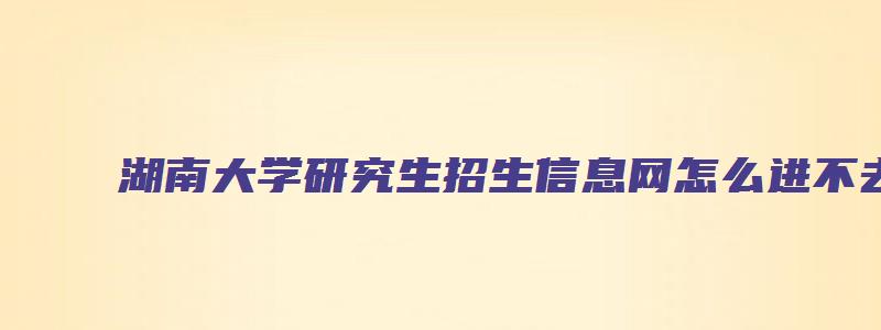 湖南大学研究生招生信息网怎么进不去