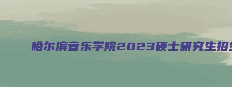 哈尔滨音乐学院2023硕士研究生招生简章电话