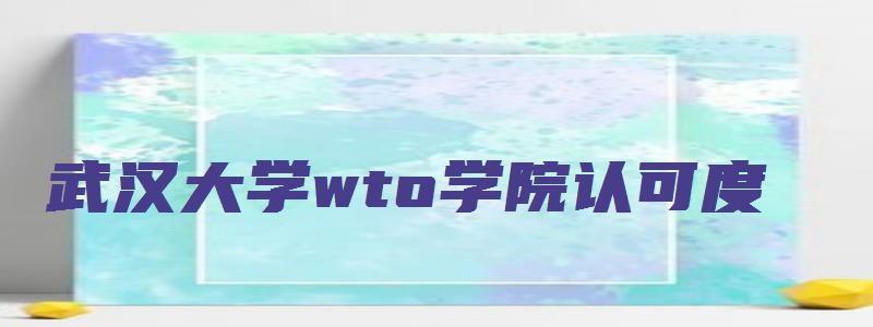 武汉大学wto学院认可度