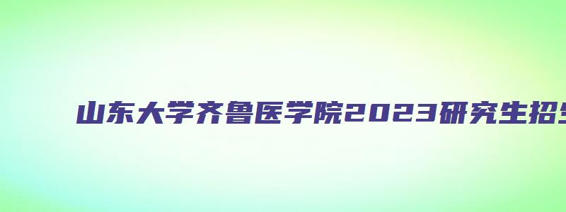 山东大学齐鲁医学院2023研究生招生目录