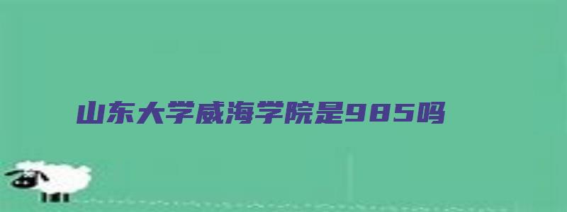 山东大学威海学院是985吗