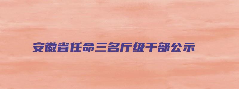 安徽省任命三名厅级干部公示