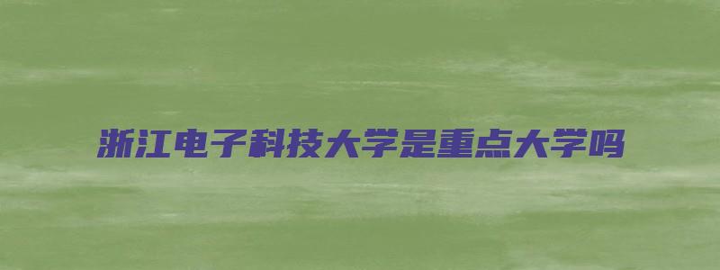 浙江电子科技大学是重点大学吗