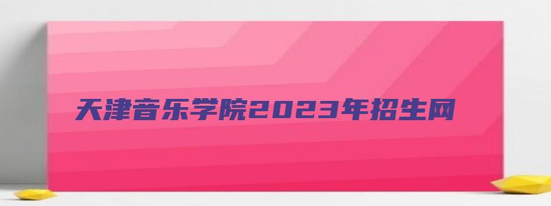 天津音乐学院2023年招生网