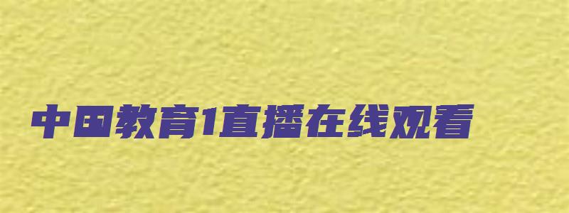 中国教育1直播在线观看