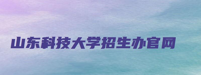 山东科技大学招生办官网