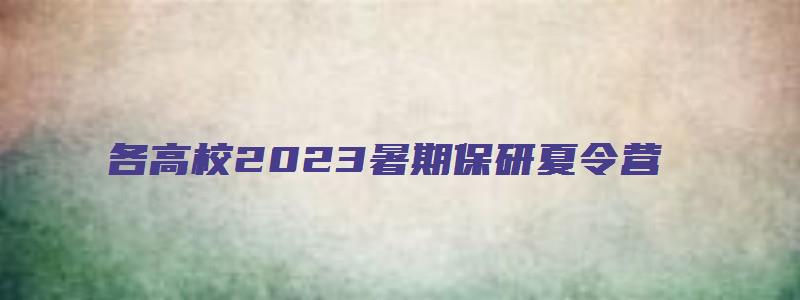 各高校2023暑期保研夏令营