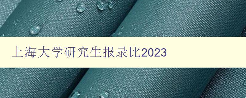 上海大学研究生报录比2023