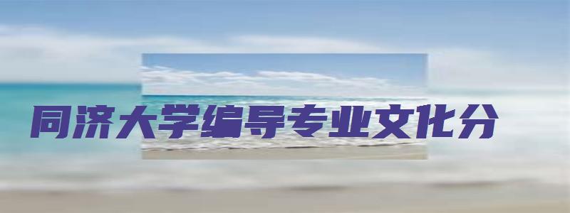 同济大学编导专业文化分