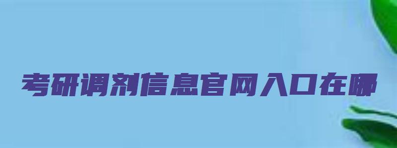 考研调剂信息官网入口在哪