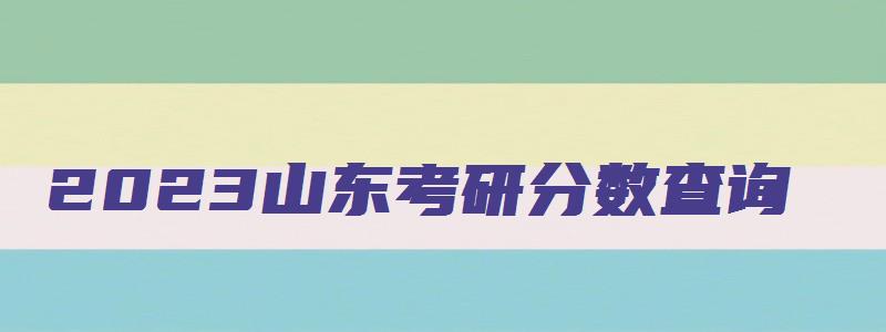 2023山东考研分数查询