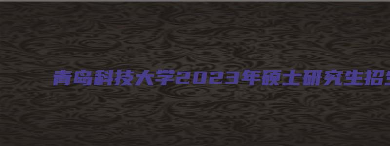 青岛科技大学2023年硕士研究生招生专业目录表