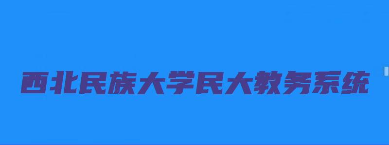 西北民族大学民大教务系统