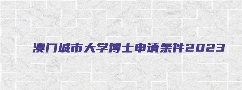 澳门城市大学博士申请条件2023