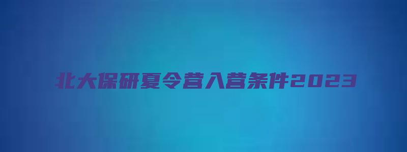 北大保研夏令营入营条件2023