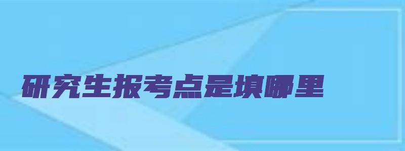 研究生报考点是填哪里