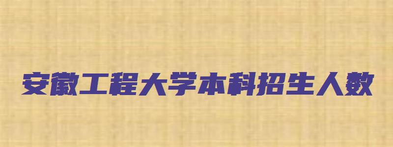 安徽工程大学本科招生人数