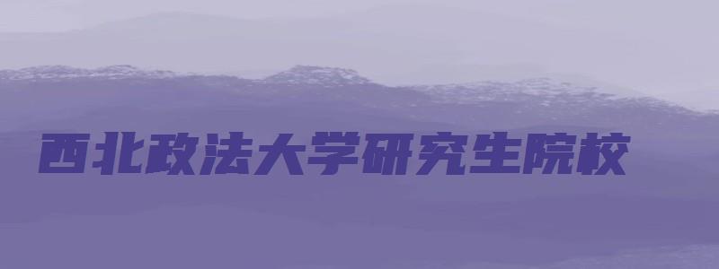 西北政法大学研究生院校