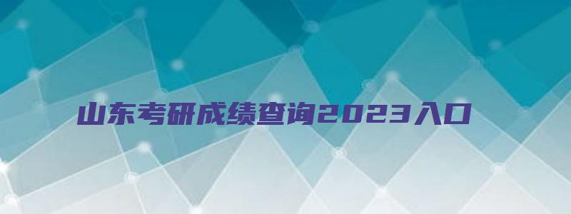 山东考研成绩查询2023入口