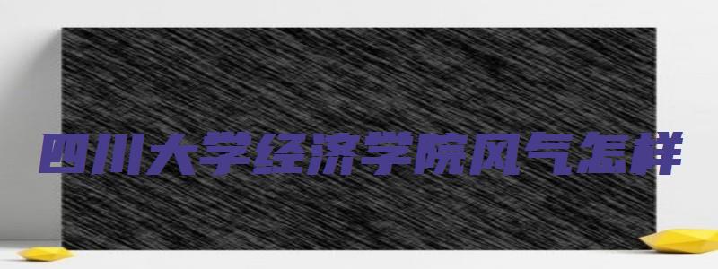 四川大学经济学院风气怎样