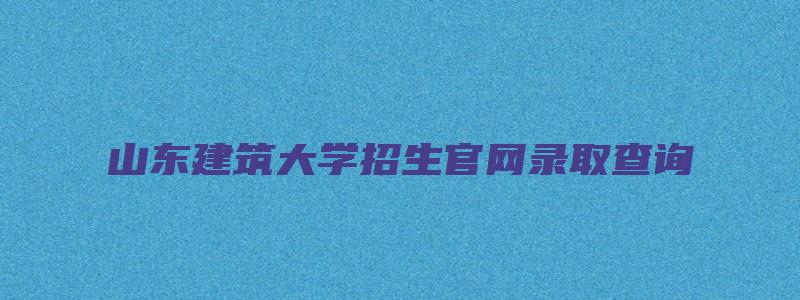 山东建筑大学招生官网录取查询