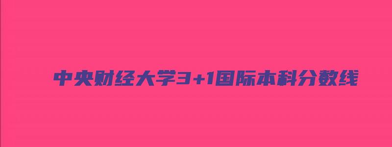 中央财经大学3+1国际本科分数线