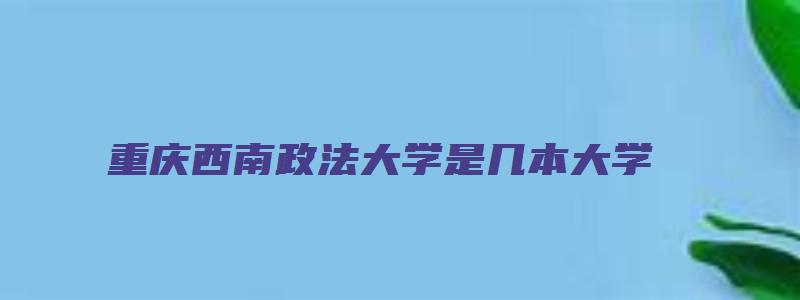 重庆西南政法大学是几本大学