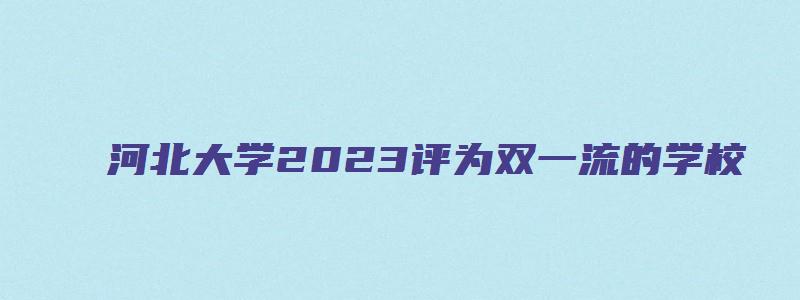 河北大学2023评为双一流的学校