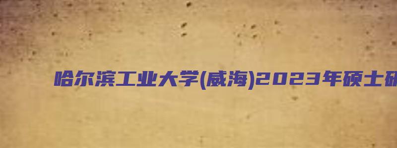 哈尔滨工业大学(威海)2023年硕士研究生化学工程专业校外调剂方案