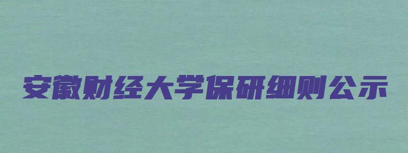 安徽财经大学保研细则公示