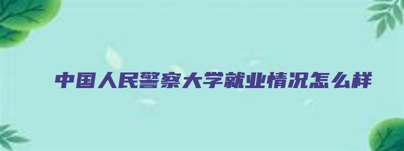 中国人民警察大学就业情况怎么样