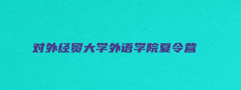 对外经贸大学外语学院夏令营