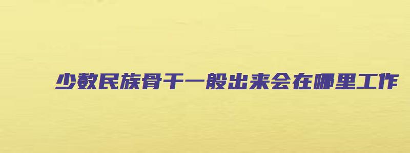 少数民族骨干一般出来会在哪里工作