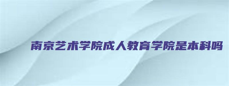 南京艺术学院成人教育学院是本科吗