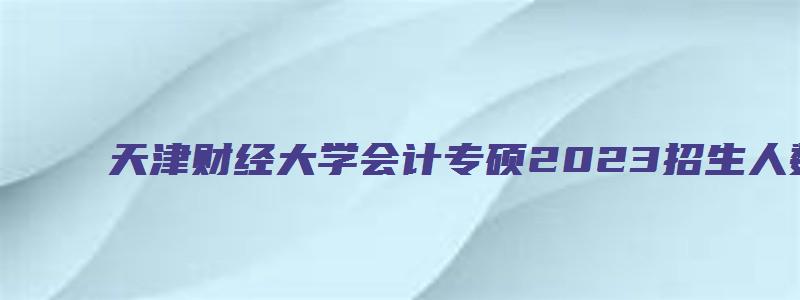 天津财经大学会计专硕2023招生人数