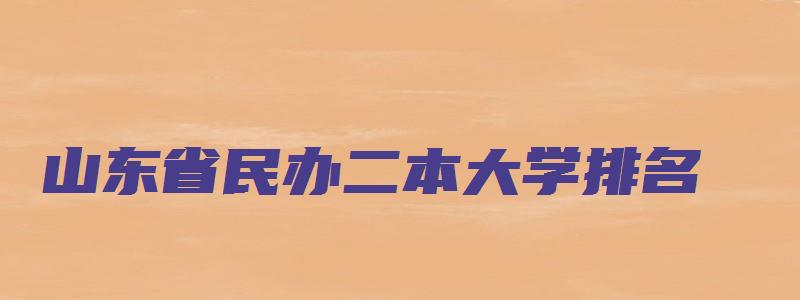 山东省民办二本大学排名