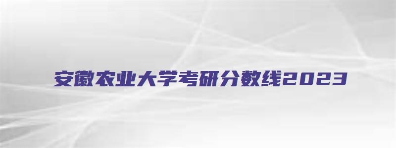 安徽农业大学考研分数线2023