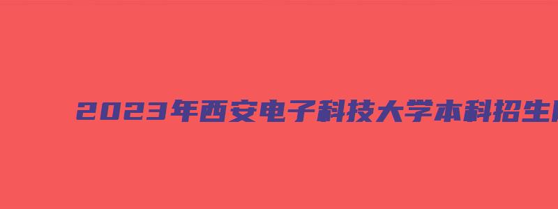 2023年西安电子科技大学本科招生网