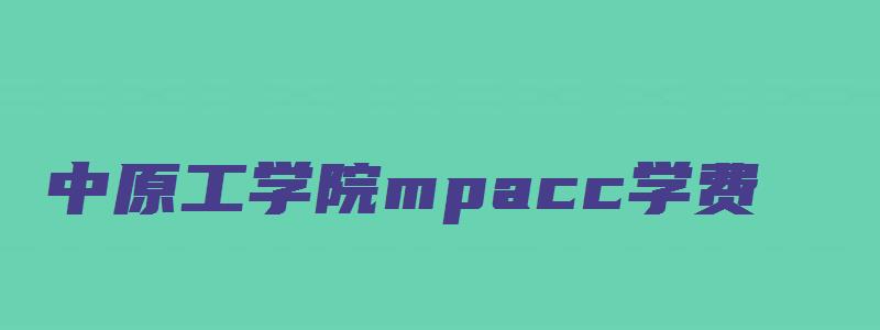 中原工学院mpacc学费