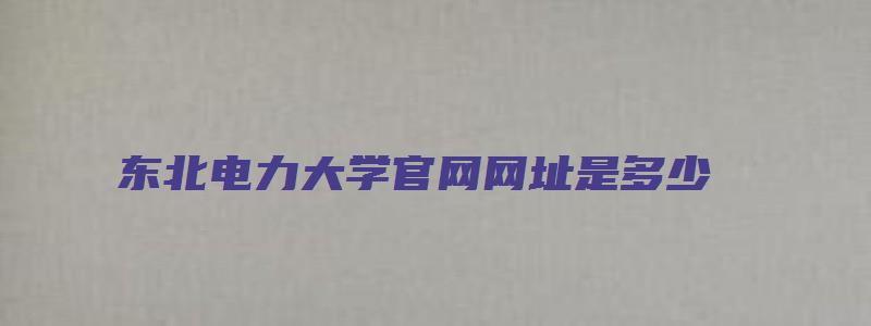 东北电力大学官网网址是多少