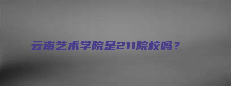 云南艺术学院是211院校吗？