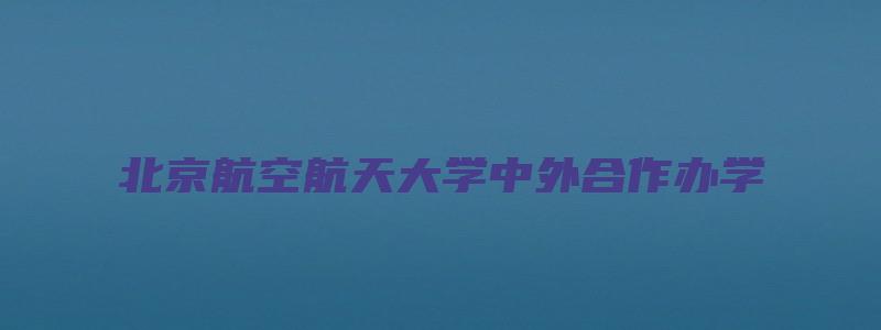 北京航空航天大学中外合作办学