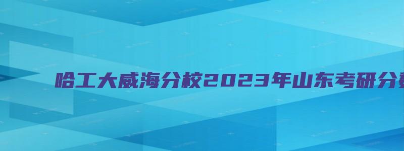 哈工大威海分校2023年山东考研分数线