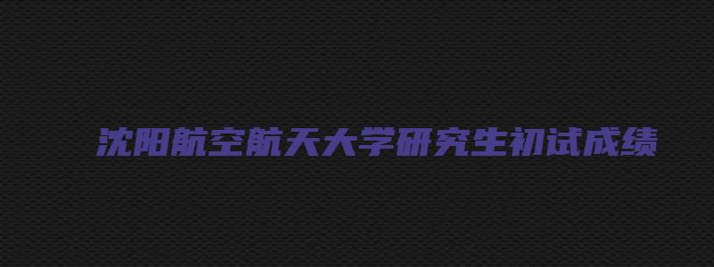 沈阳航空航天大学研究生初试成绩