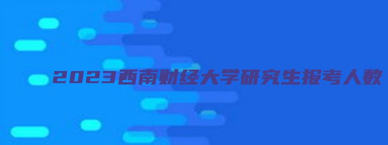 2023西南财经大学研究生报考人数