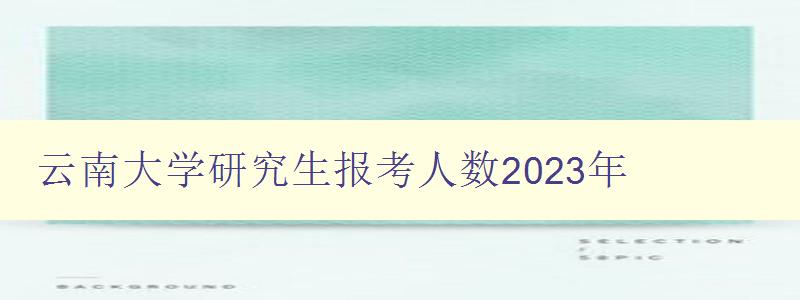 云南大学研究生报考人数2023年